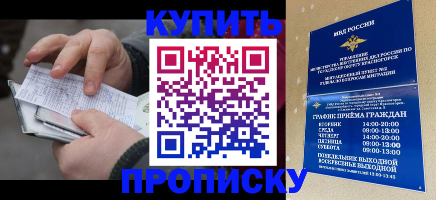 временная регистрация недорого в Нововоронеже